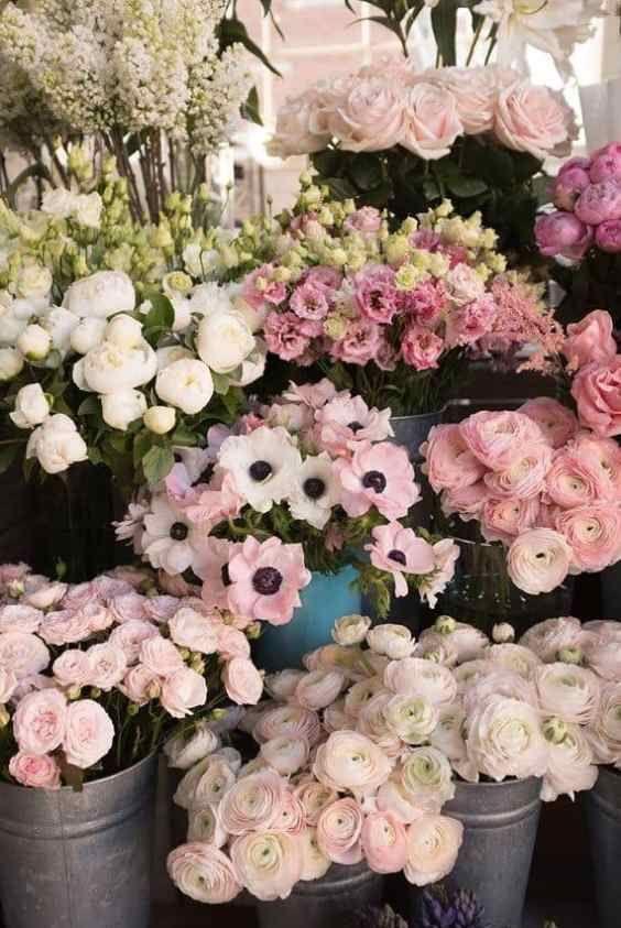 Secret Garden's Floral Symphony